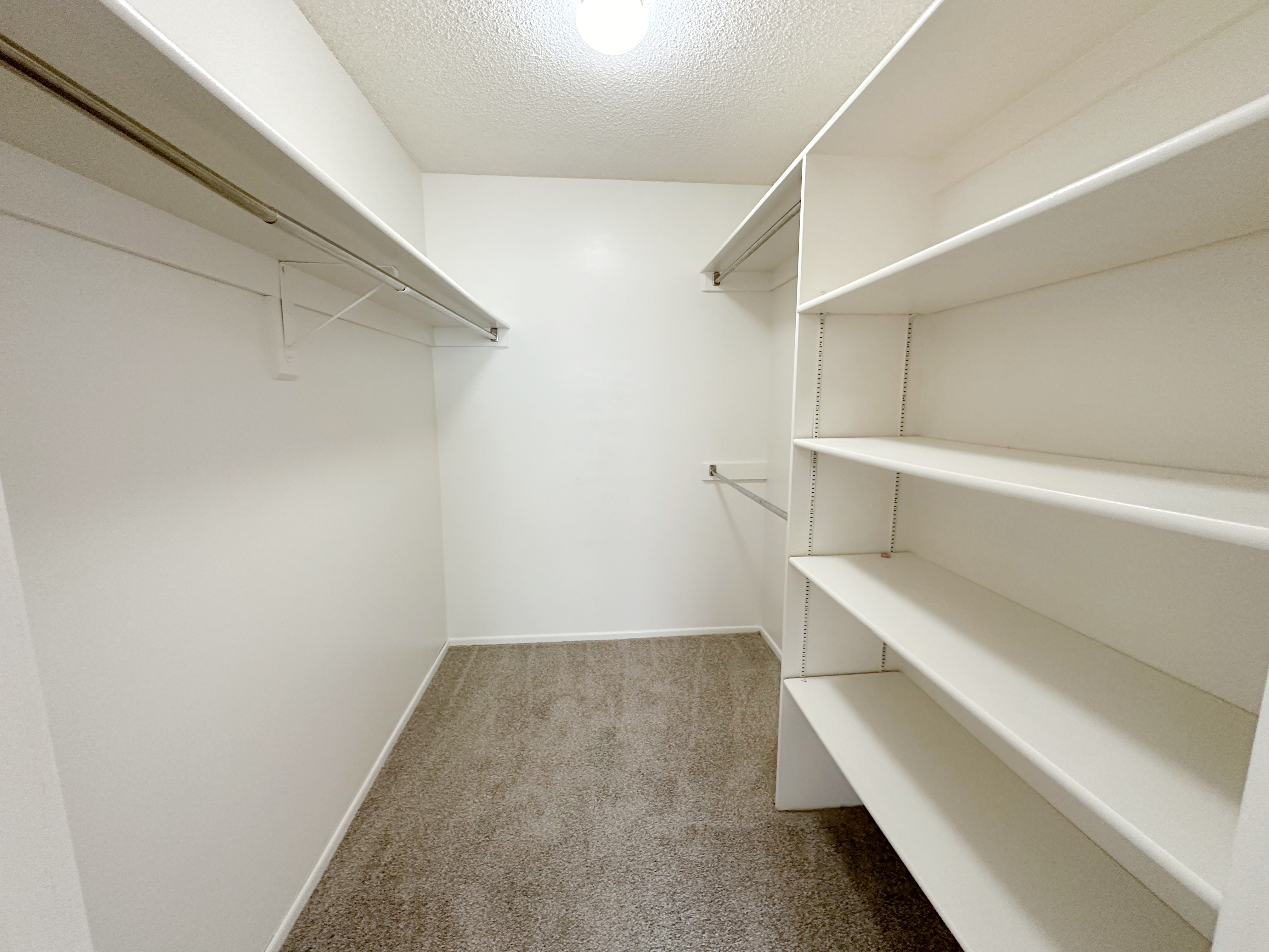 Walk-in closet with built-in shelving